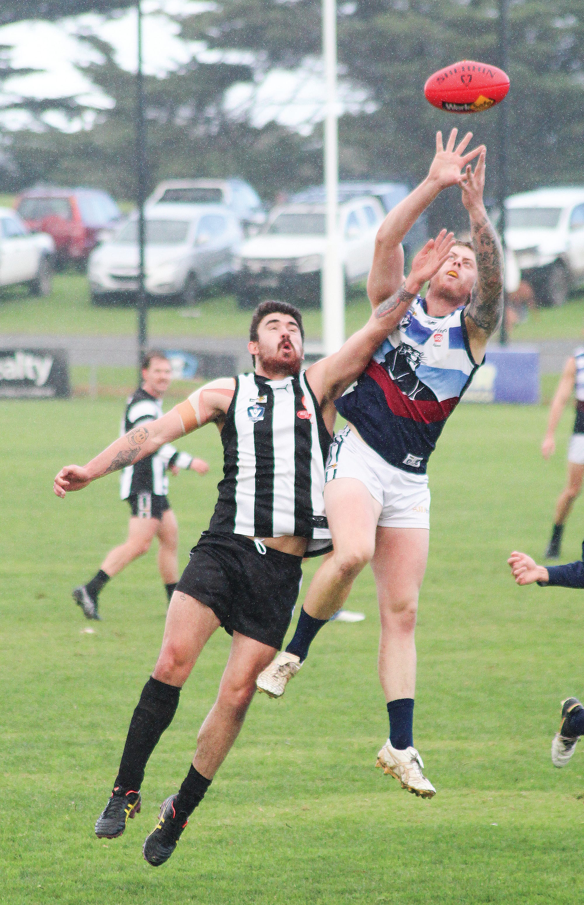 Panthers pounce to vanquish valiant Magpies