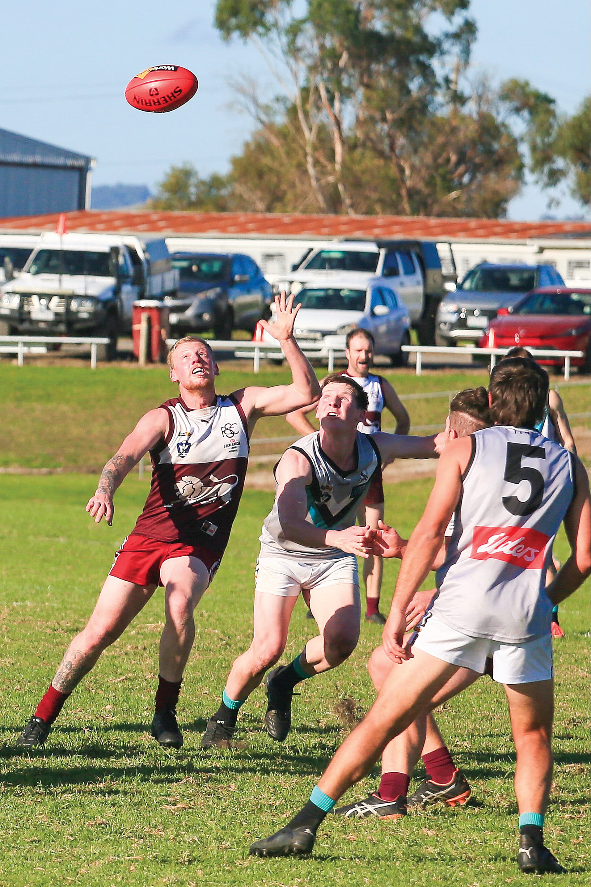 Lions roar to victory