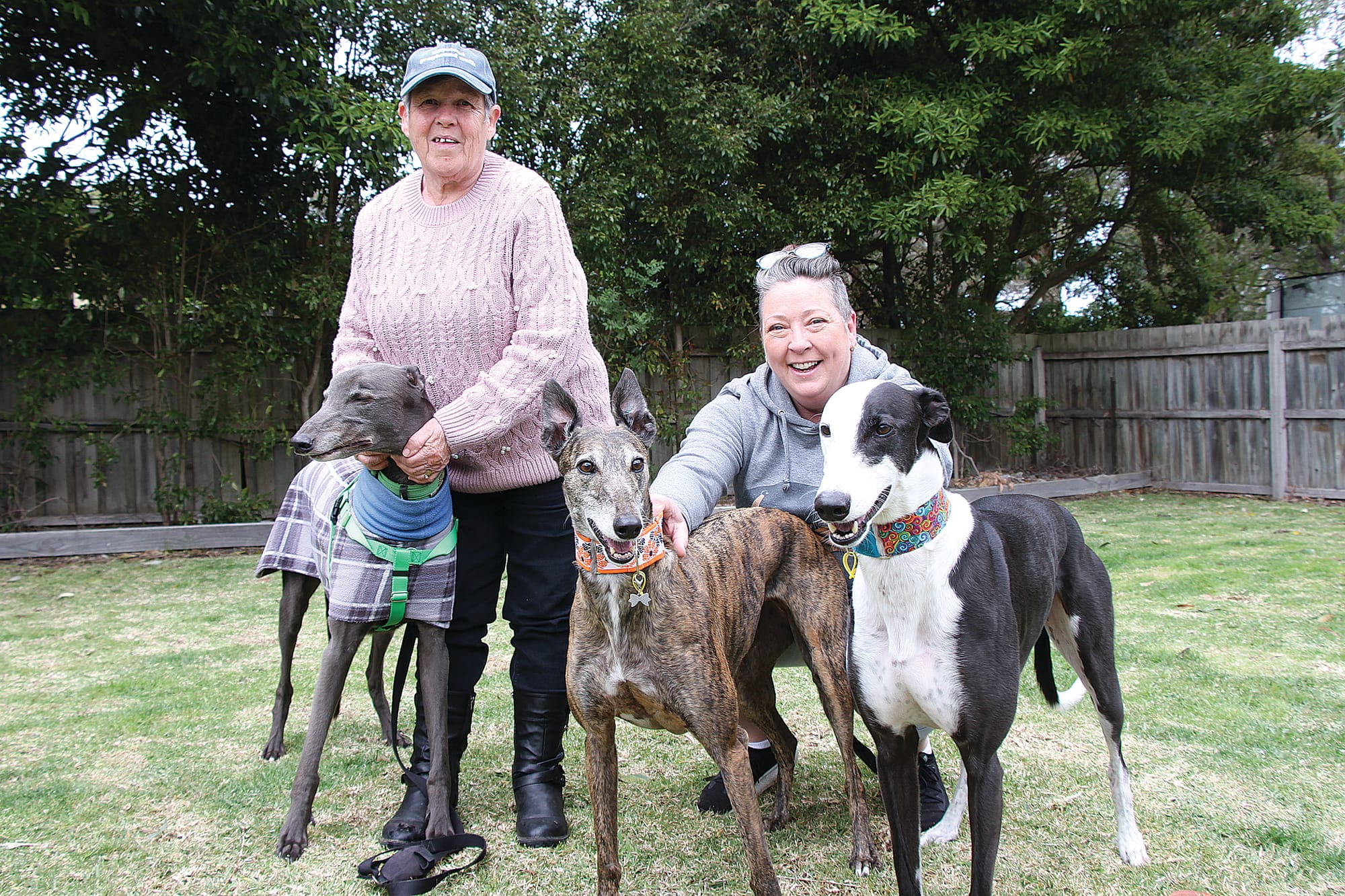 Gippsland walking group for rescued greyhounds