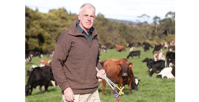 Nuffield scholarship helps build a resilient dairy business