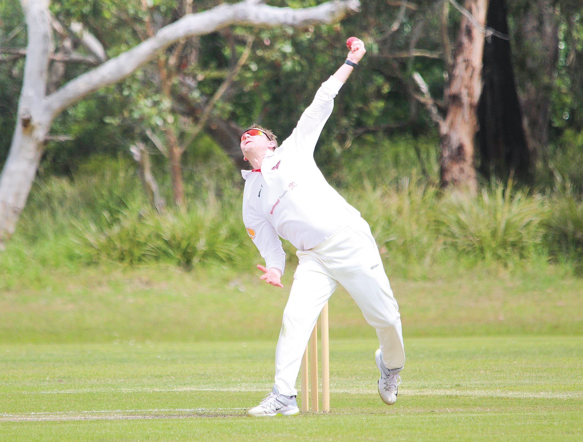 Stingrays allrounder Andrew Donohue claimed two wickets in his side’s big upset win. 