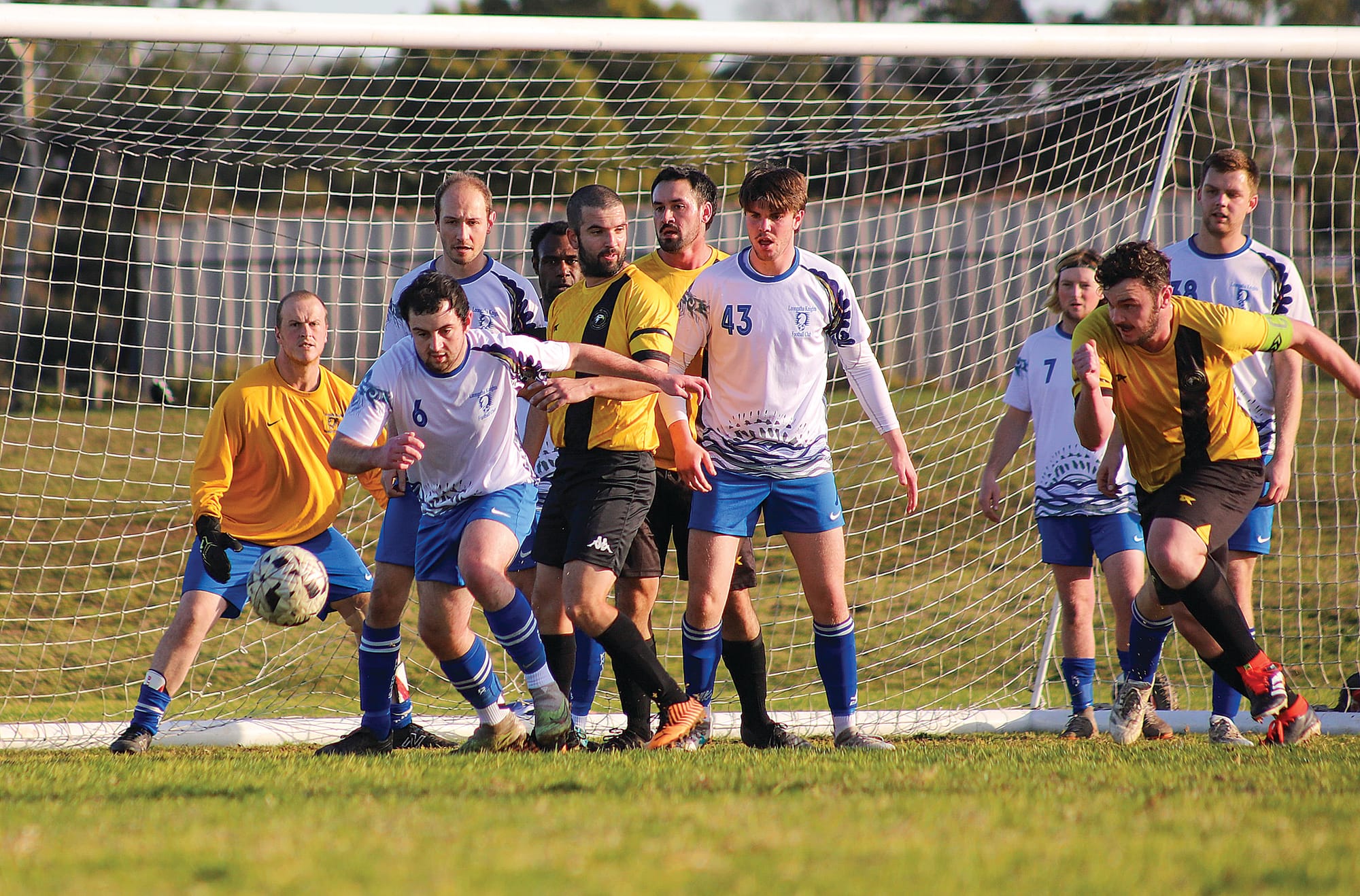 Knights charge past ladder leaders for the win