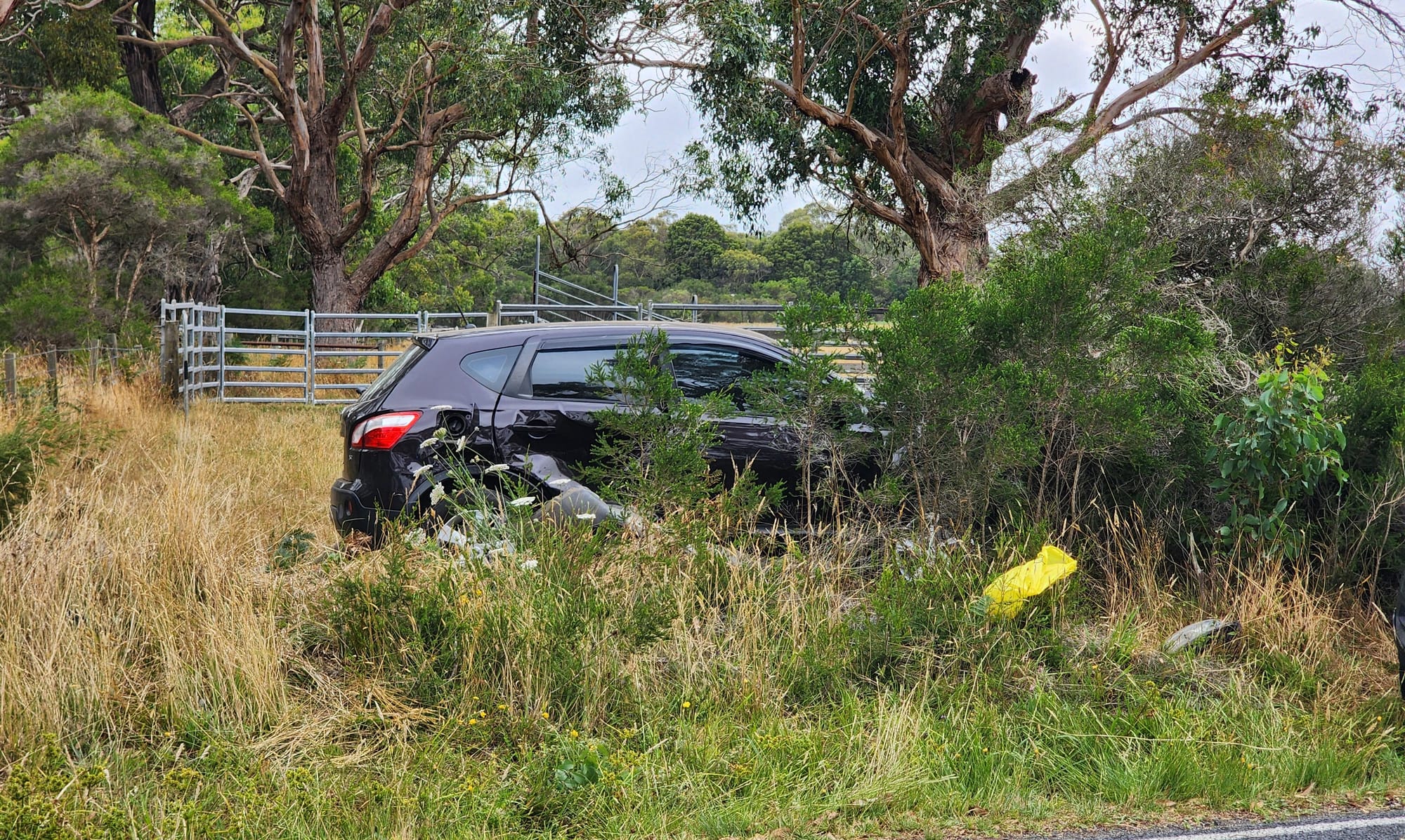 Police appeal for witness to come forward after Wattle Bank collision