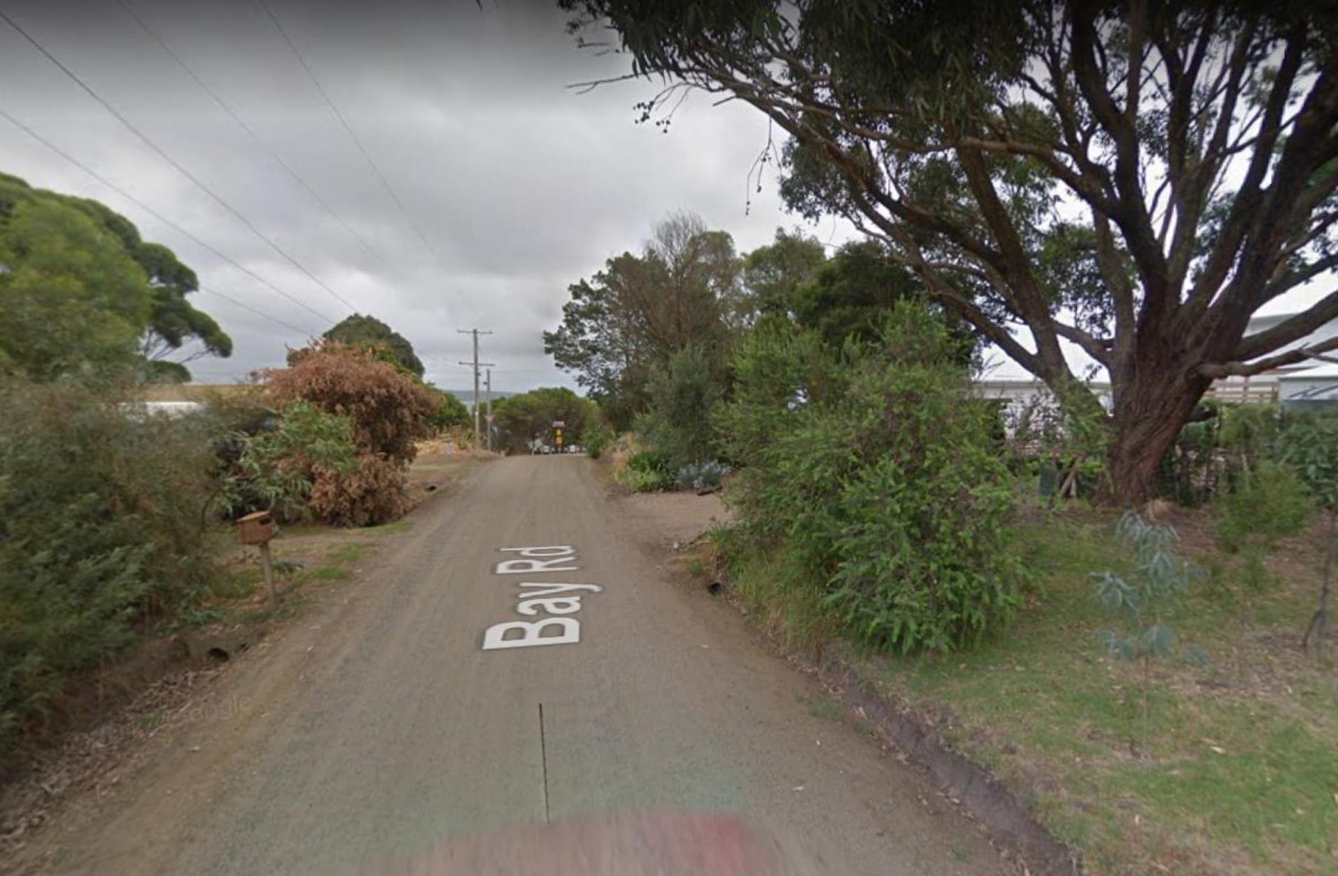 Can’t even take his dog for a walk