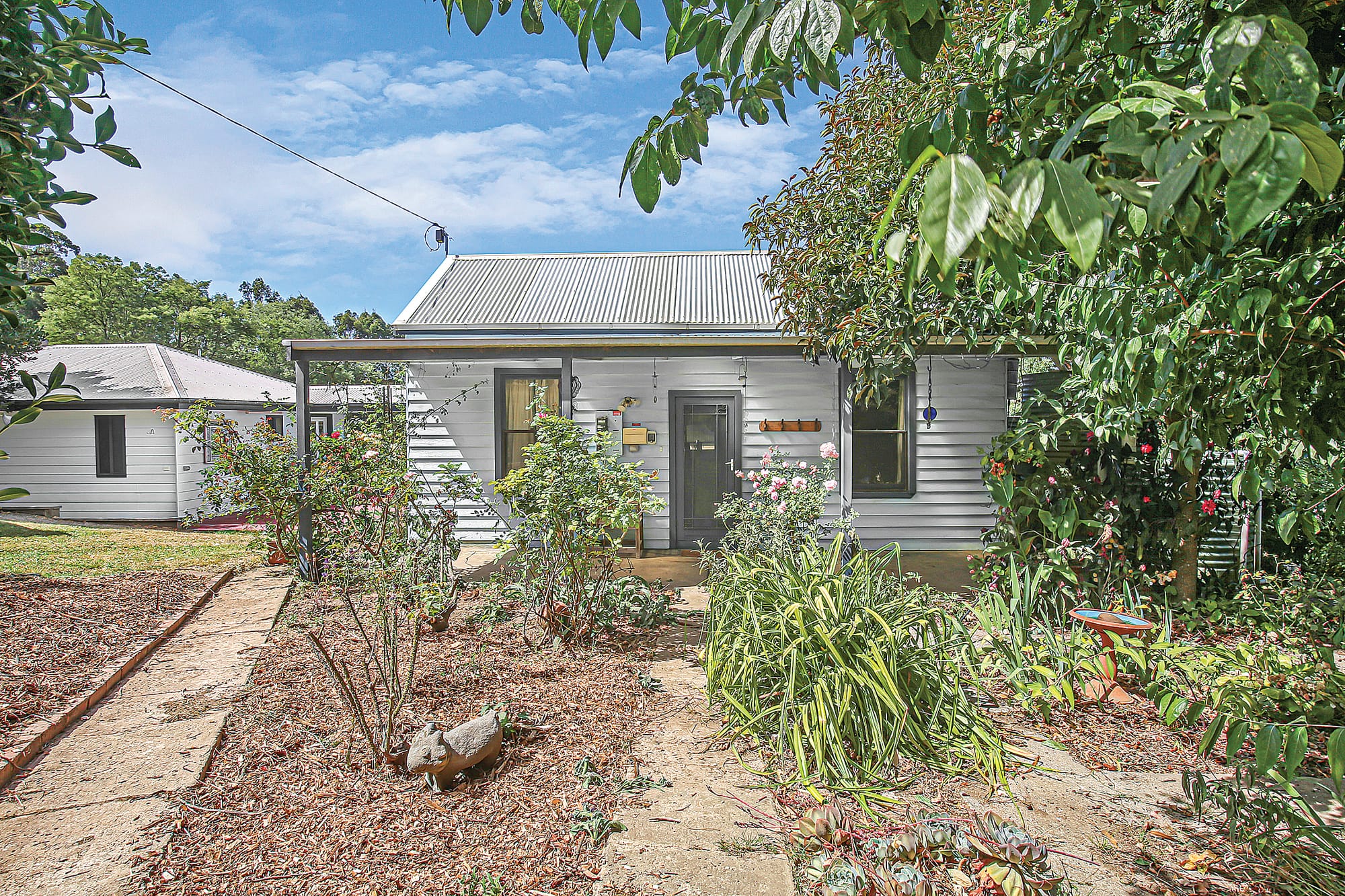 A veggie garden lovers delight