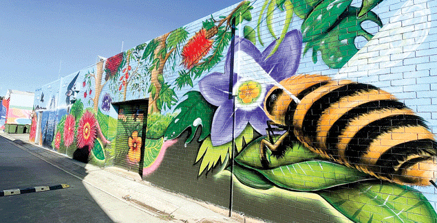Splash of colour in Durham Lane