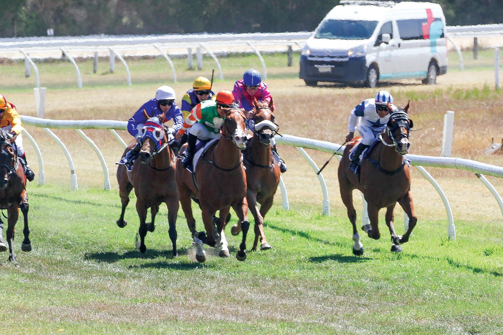 ‘Here’s to Jane’ needing a win in Race 4 at Woolamai to secure Horse of the Year. B133_0925