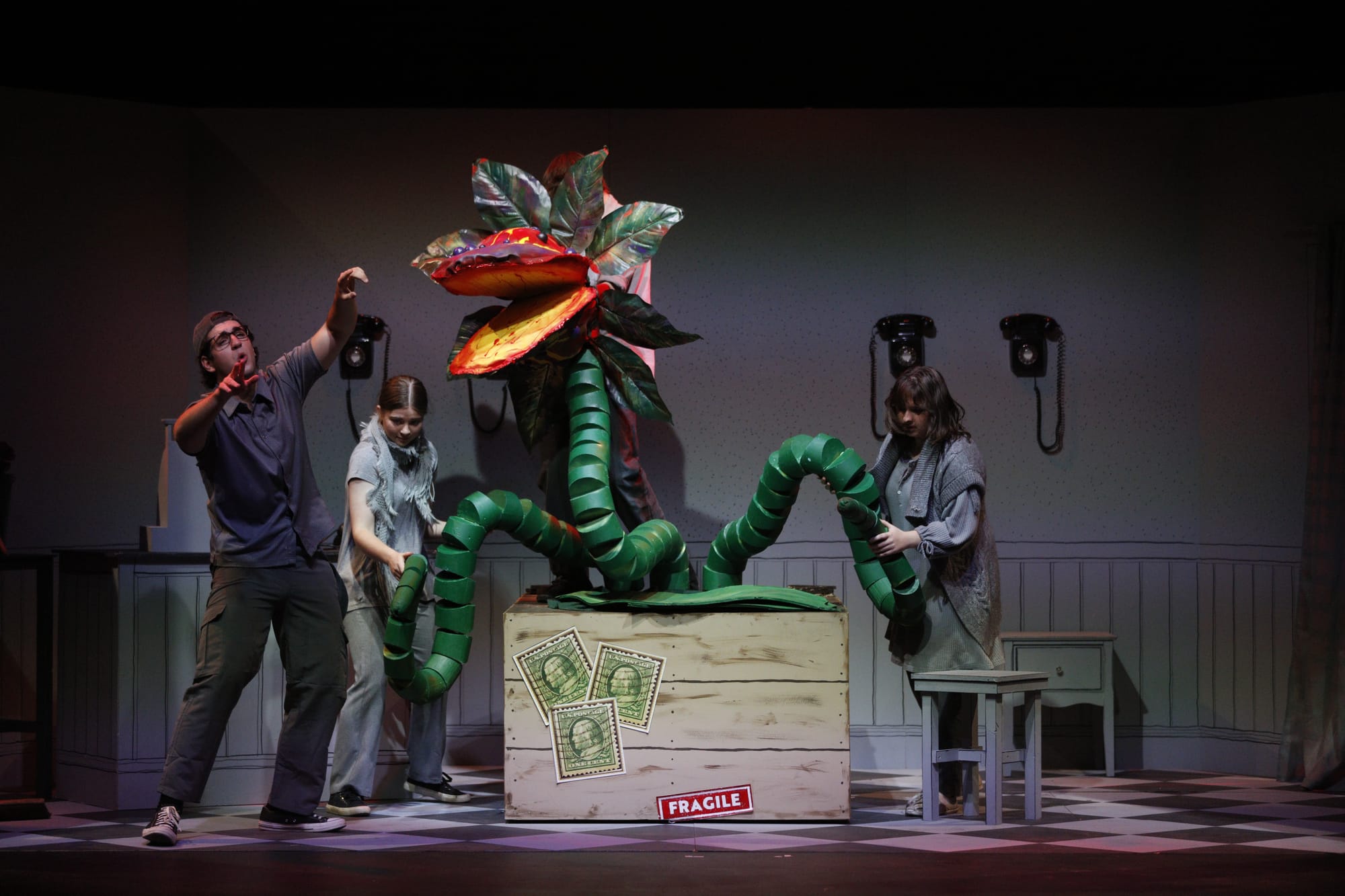 Dean Lyle playing Seymour alongside the magical puppetry of Audrey II, created by Linda Fenton and Rafal Pyka and brought to life by puppeteers Finn McLean, Georgia Sanders and Keira Rowe. Audrey II was voiced by Angeline Anthony. Photo: Leo Edwards