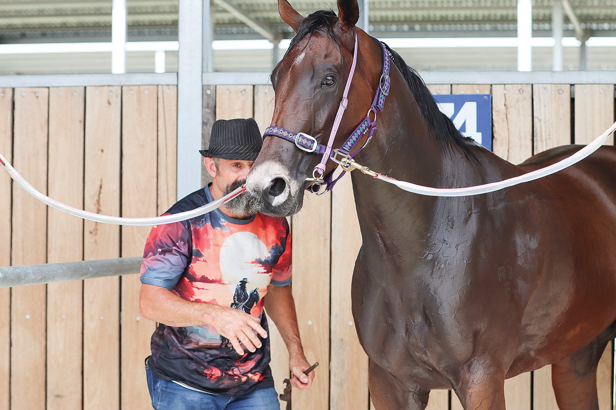 Stunning mare, Miss Lil being attended to by her trainer, Frank Stockdale. Miss Lil finished fifth in race three, The Meeniyan Hotel MDN Plate. W30_1025