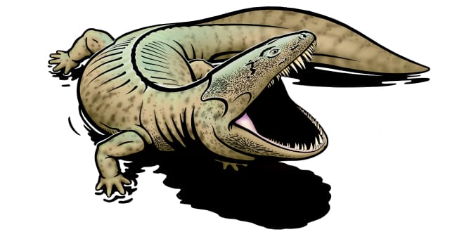 Prehistoric amphibian our new state fossil emblem
