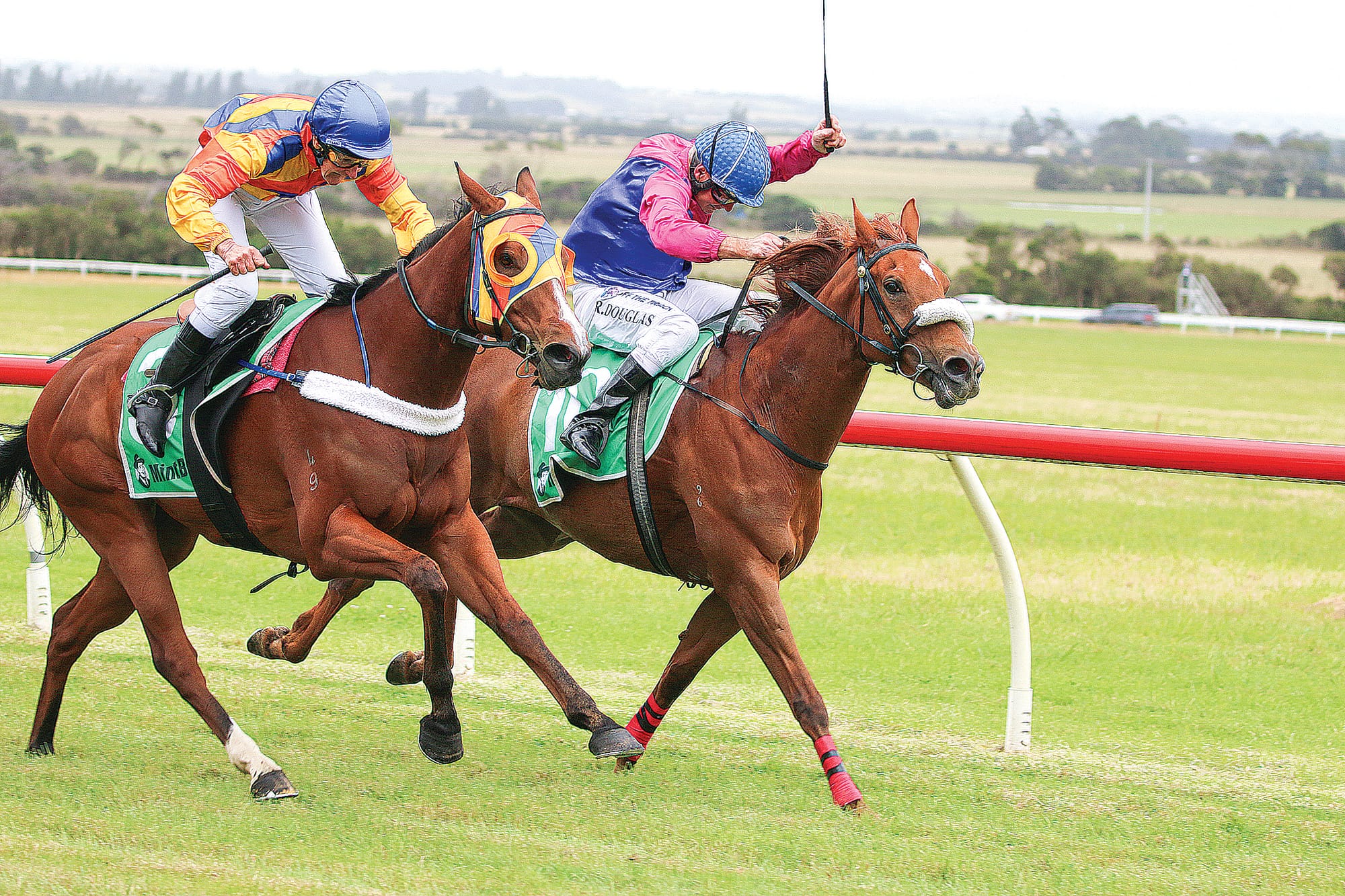 Jockeys were fighting it out for the win in the second race on the day, the Rodney McAllister Memoriam Race. ob11_0124