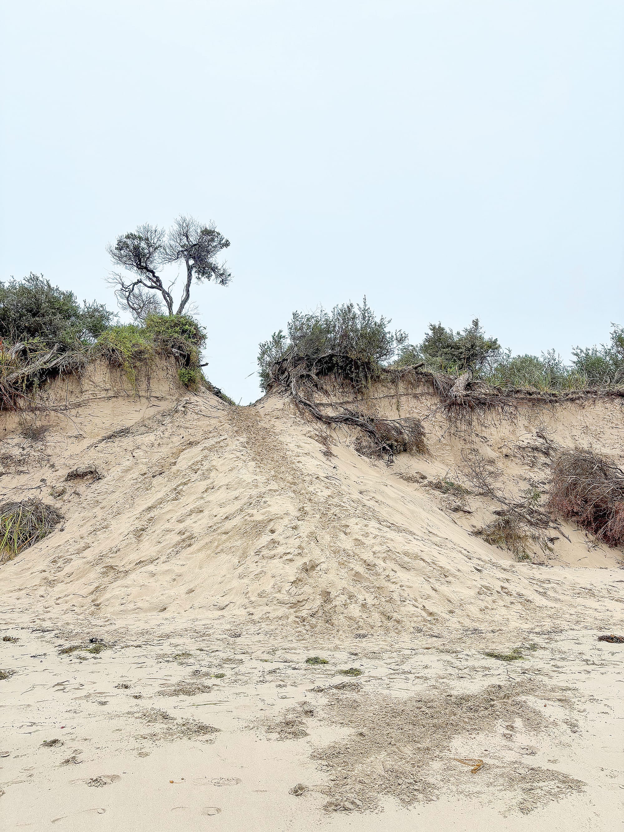 Several entrances to Inverloch Surf Beach have been compromised by erosion, leading to further damage to the dunes as beachgoers find their own way through.