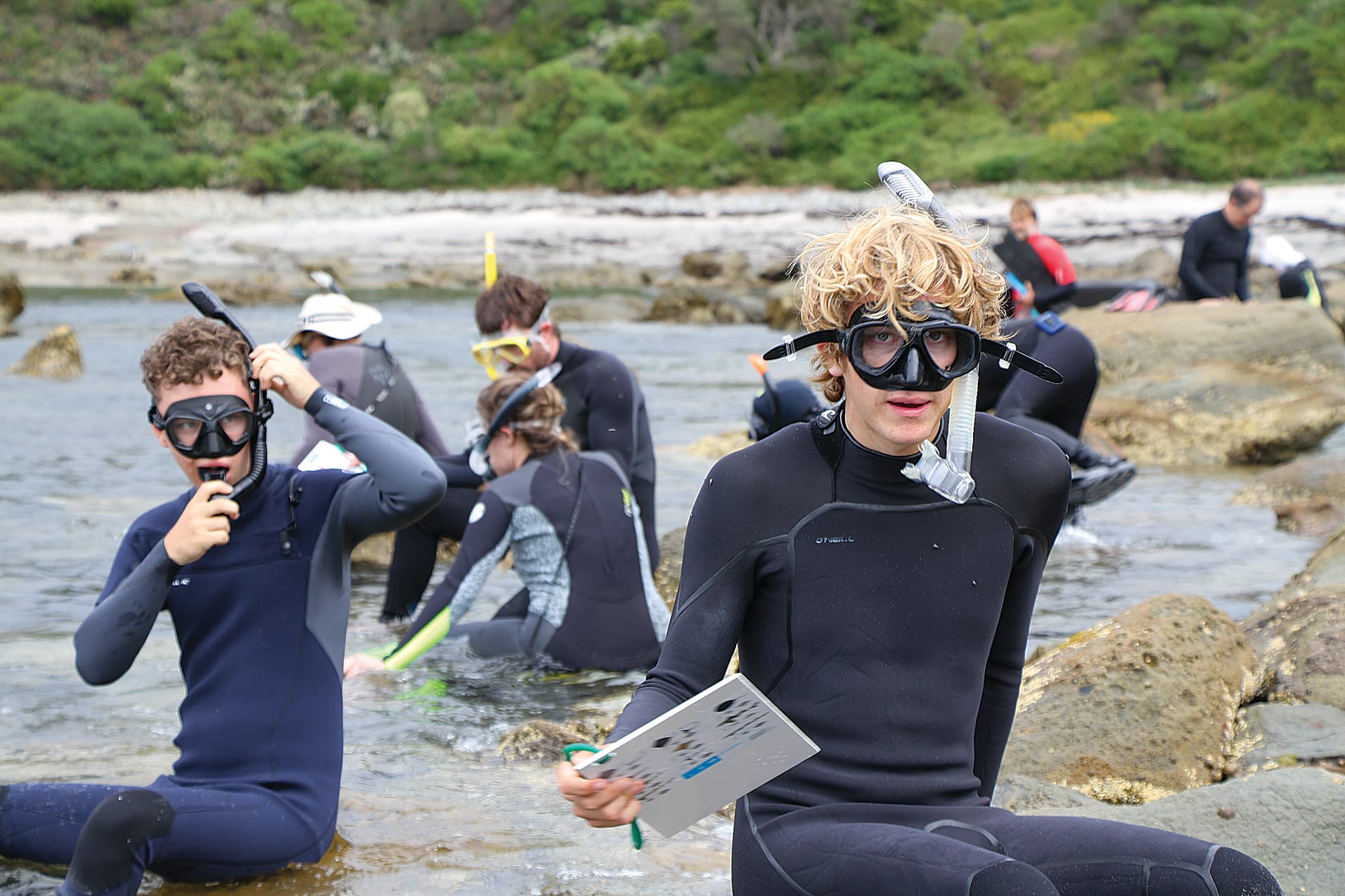 Great Victorian Fish Count at Shack Bay