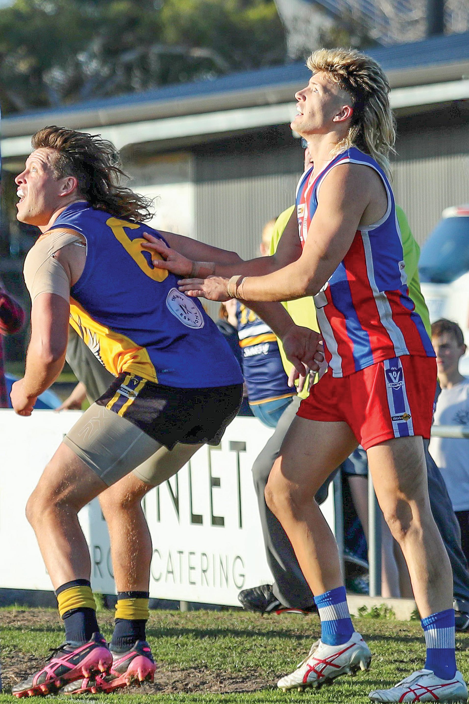 Dogs bite back in grand final rematch