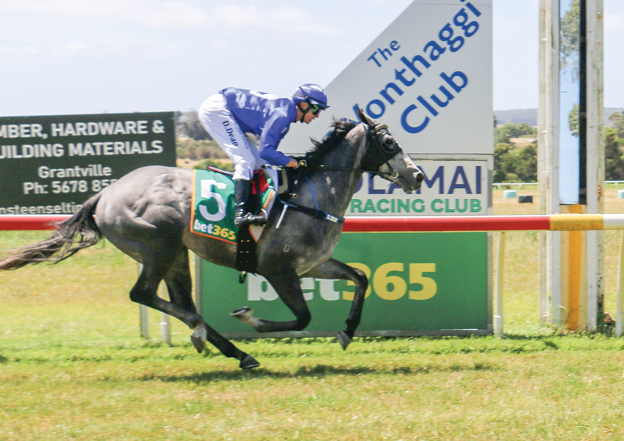 Fisher Family Christmas Maiden Plate winner Miss Himalaya and jockey Dylan Dean passing the post.