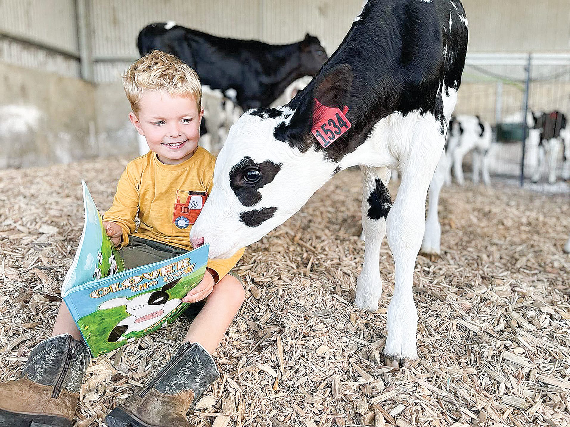 Bringing a home-grown story to young readers