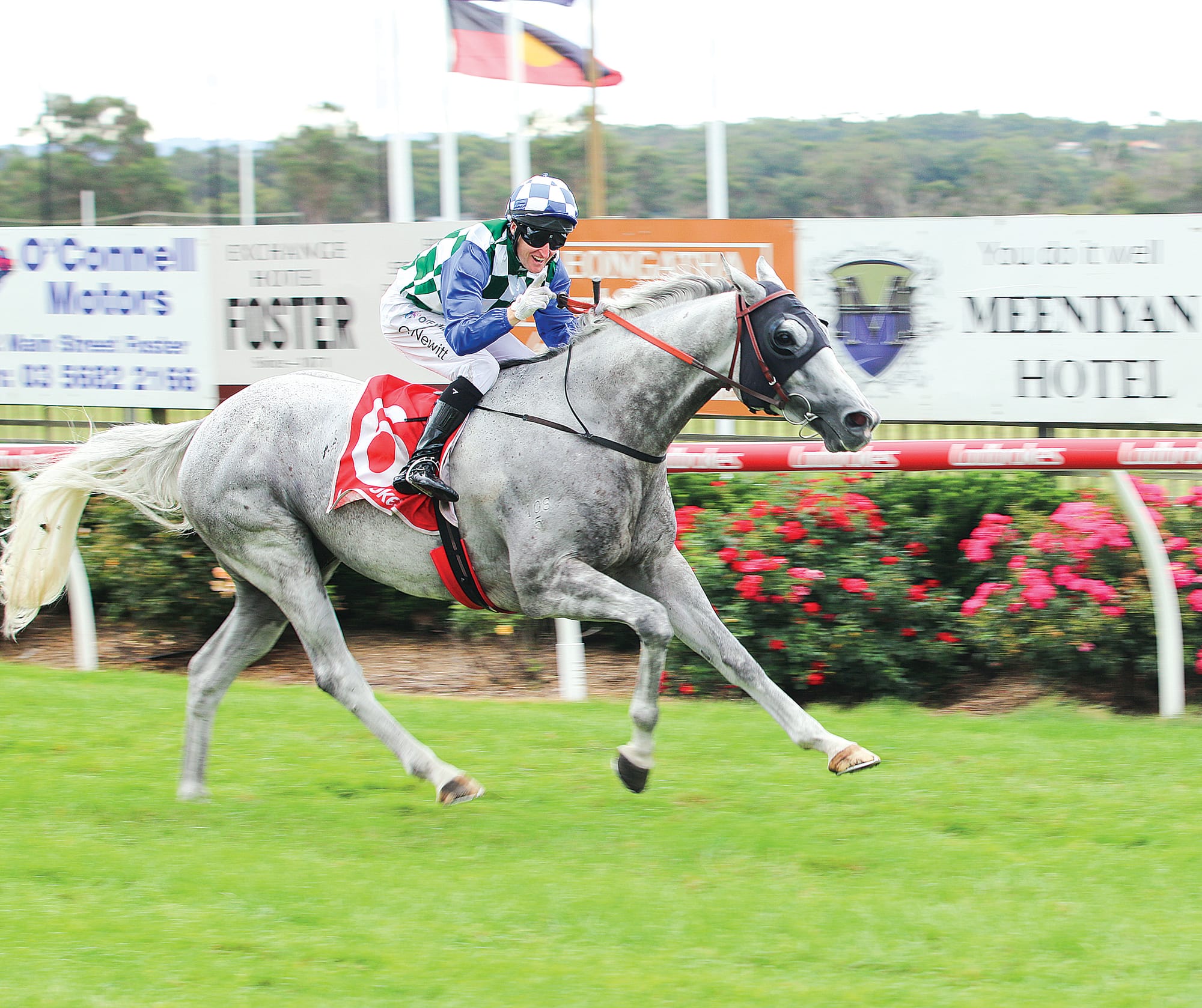 Ladbrokes Stony Creek Cup winning jockey Craig Newitt knew he had it in the bag with an impressive 3.5 lengths in front of second place Commando Drift. C53_1123