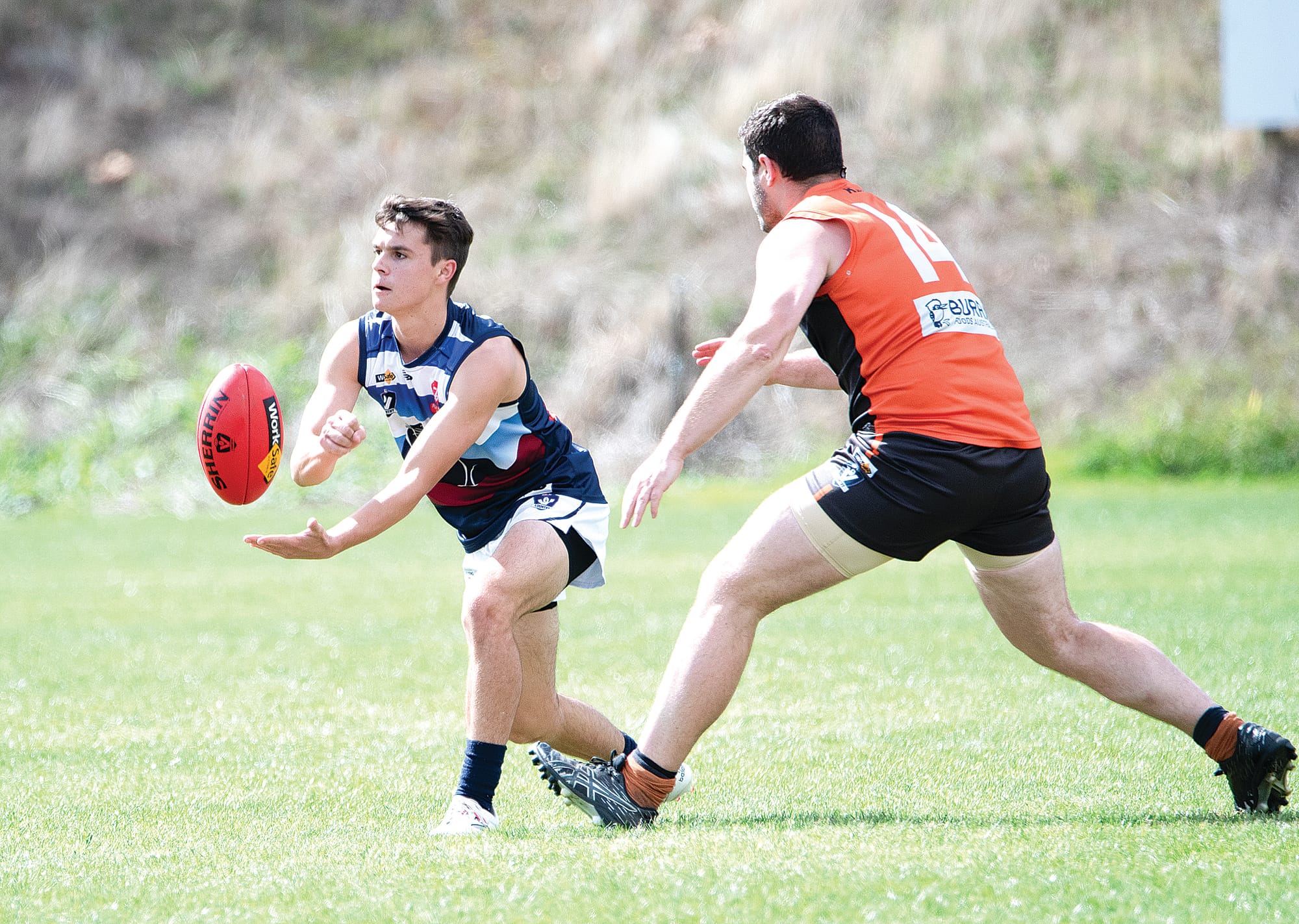 Panthers storm to 96 point victory