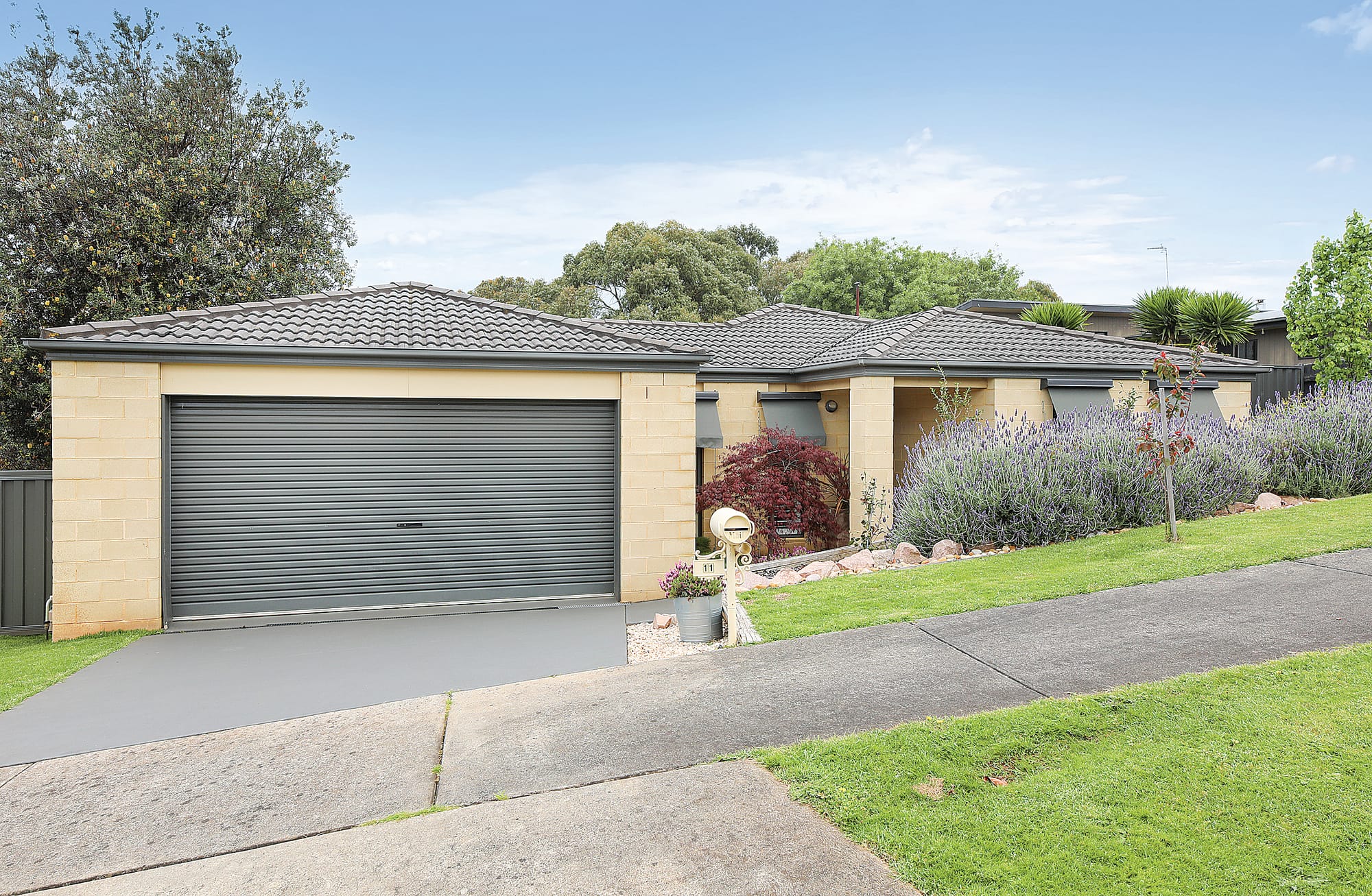 Meticulous and magnificent!