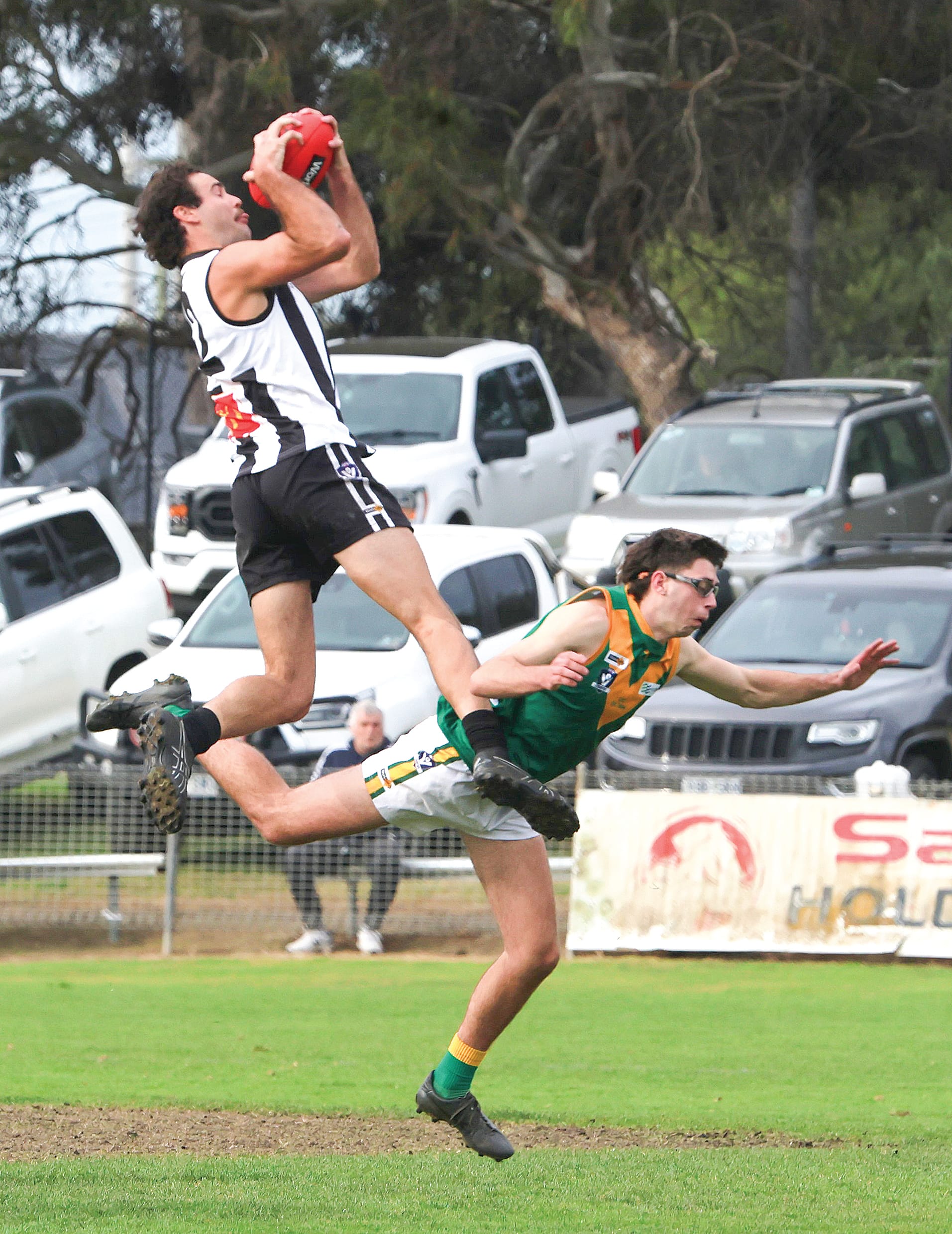 Parrots bounce back with ominous display