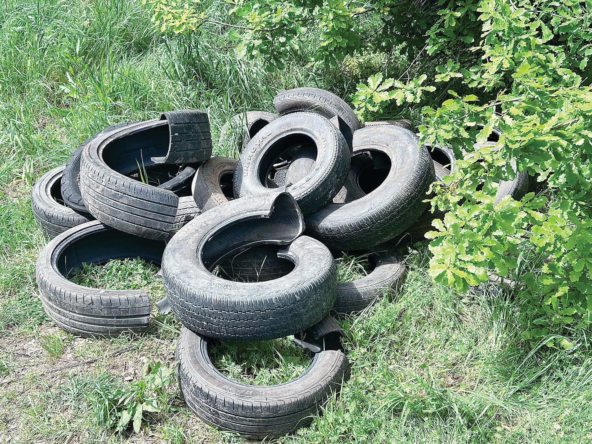 Pile of tyres dumped on private land in Loch