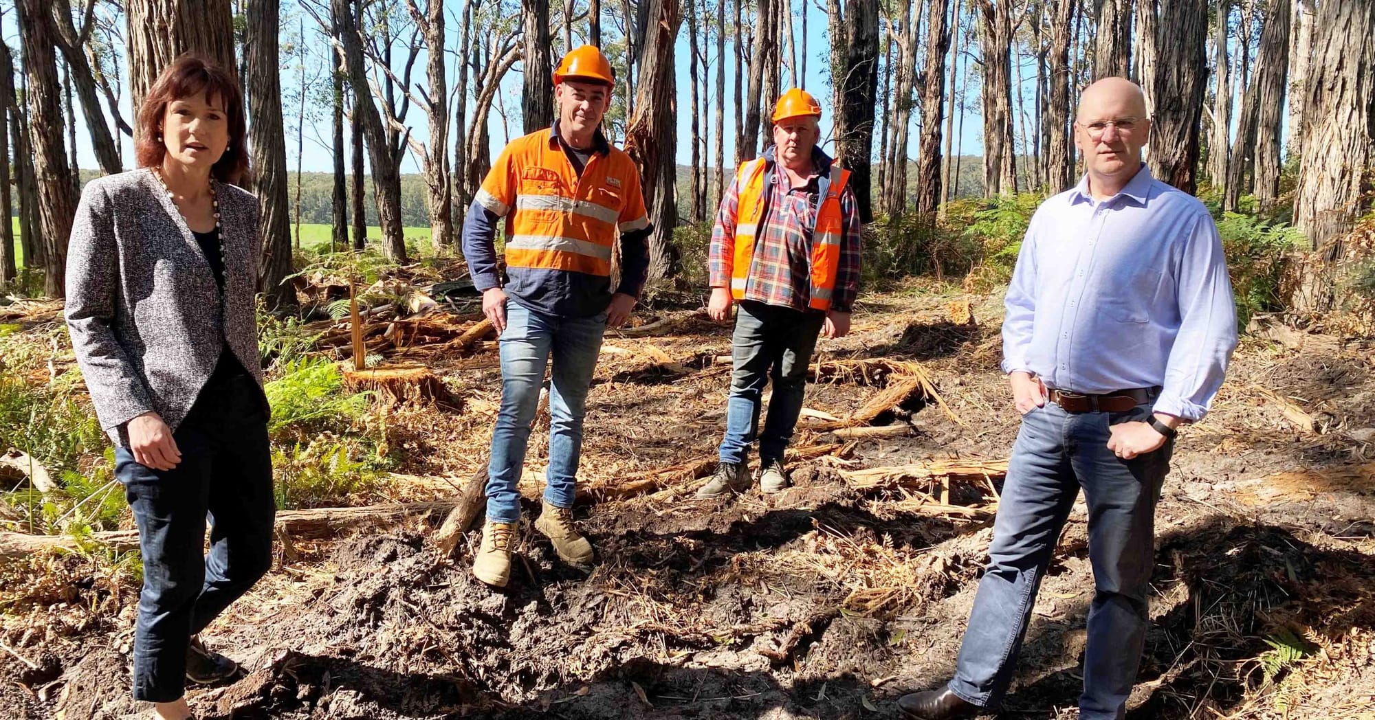 ‘I just want to put food on the table’: Timber concerns rife