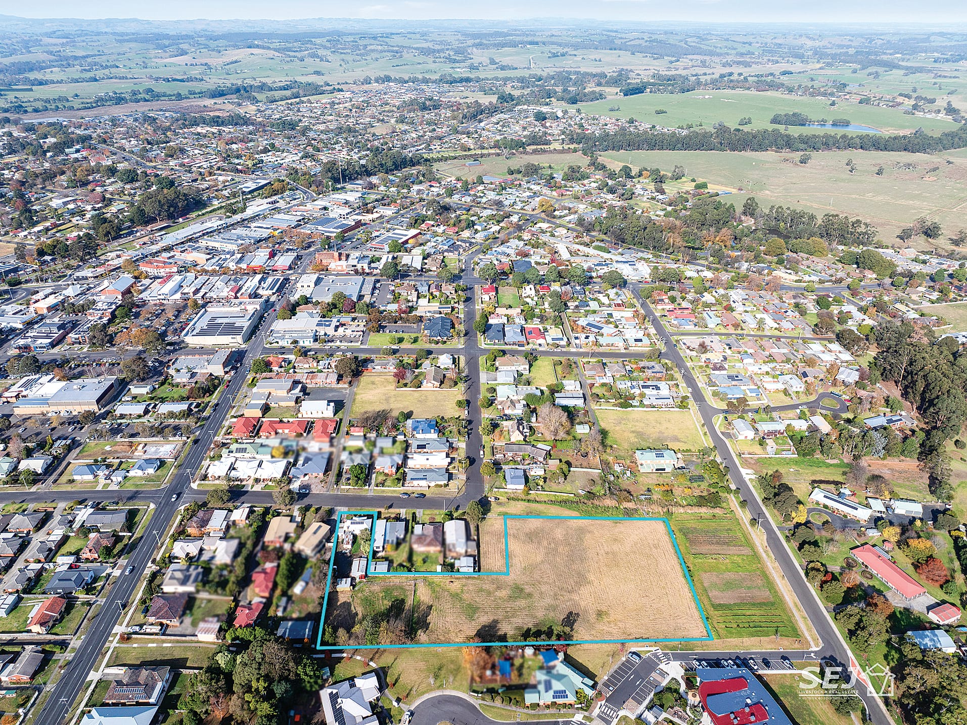 Investment opportunity