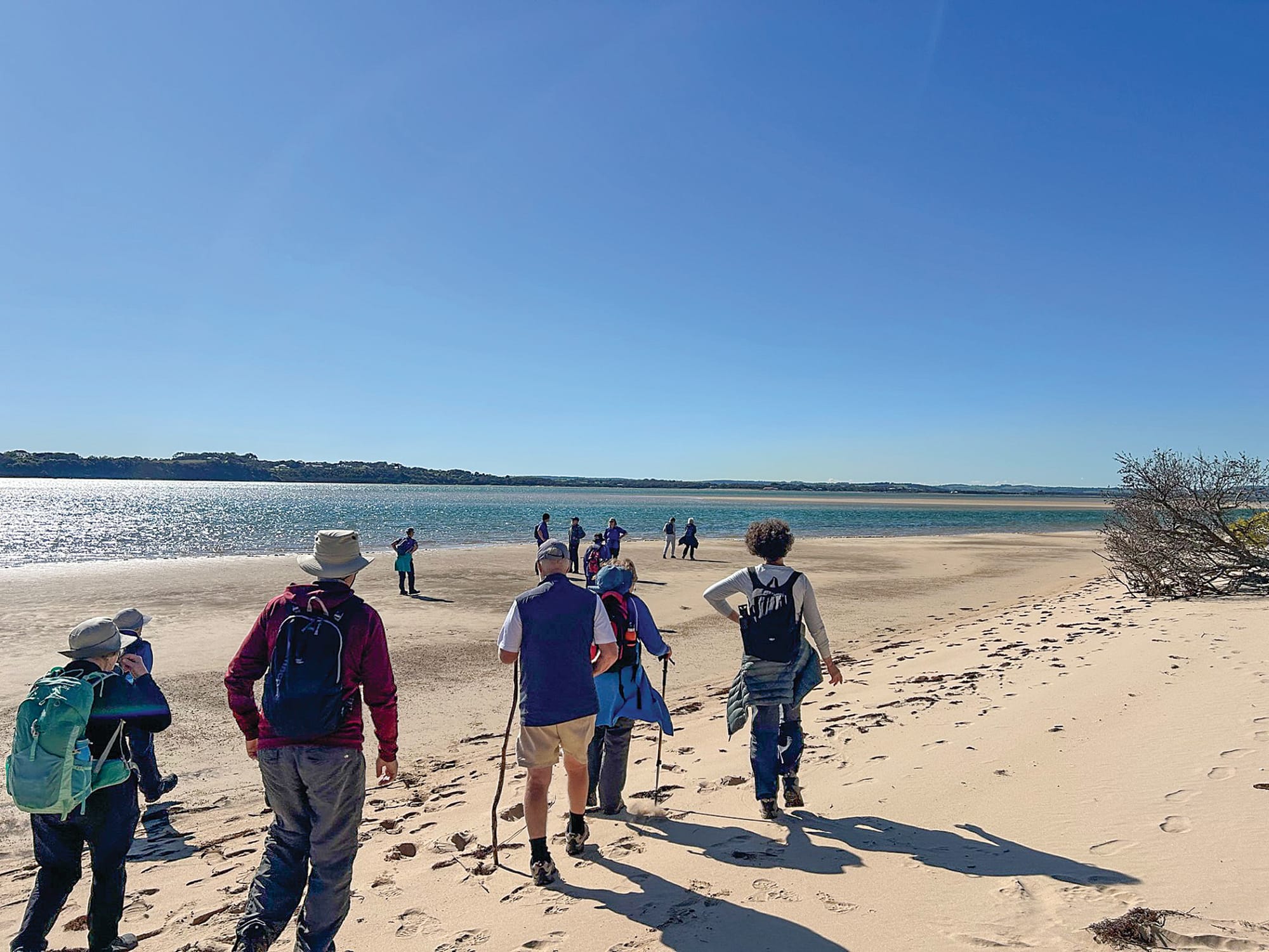 Explore the local terrain with the Bass Coast Strollers