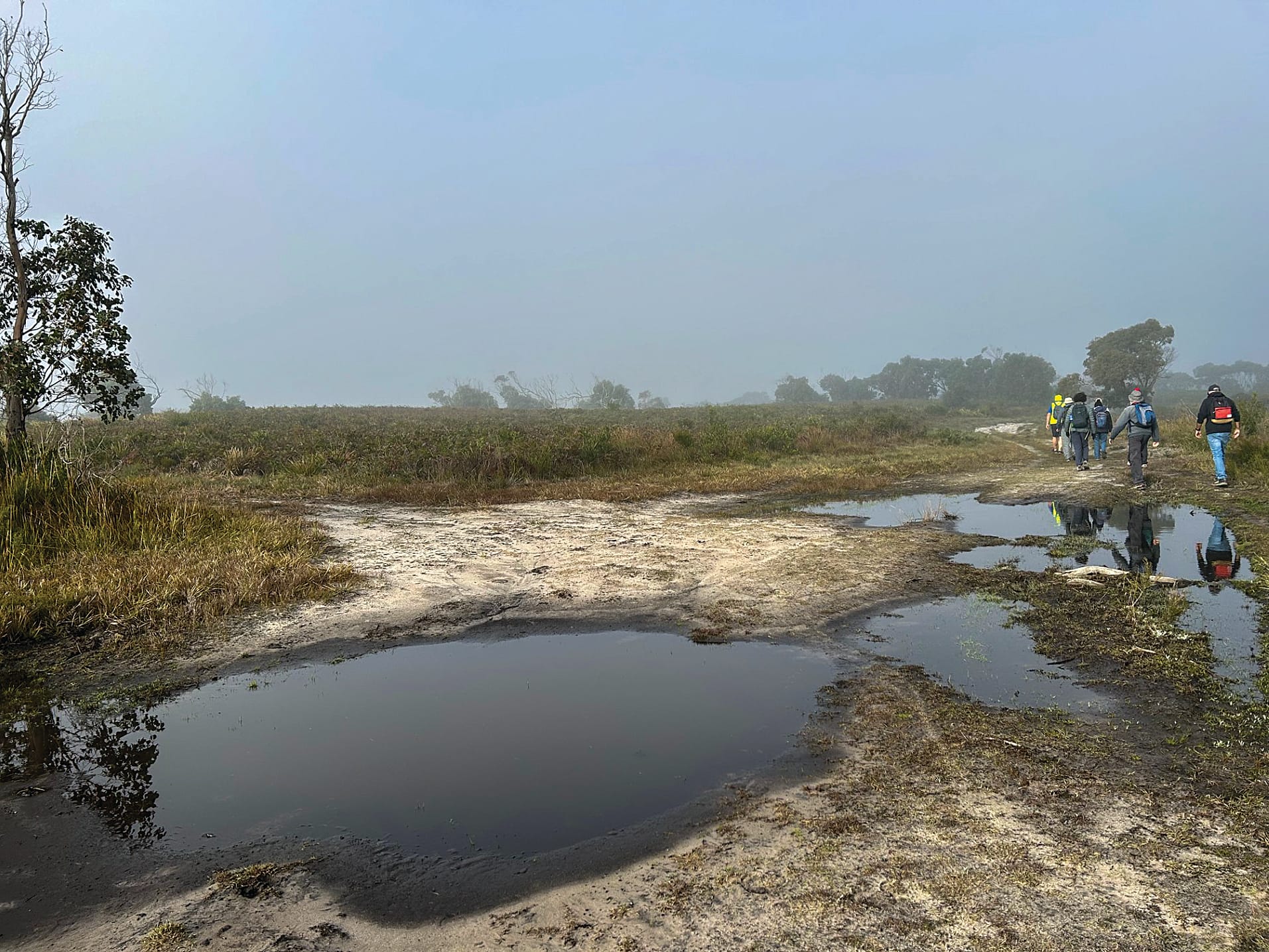 The Bass Coast Strollers out for a walk in Harmers Haven.