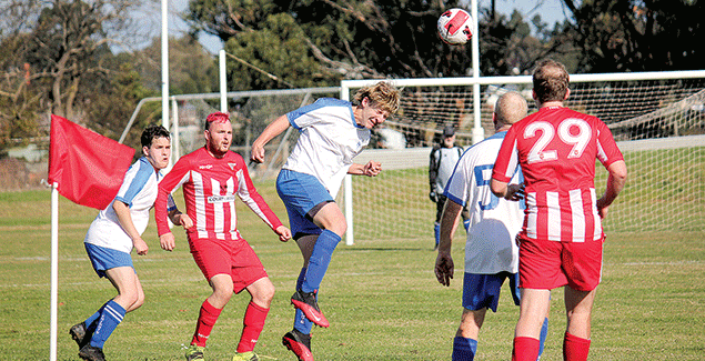 Knights maintain top billing over the Victory