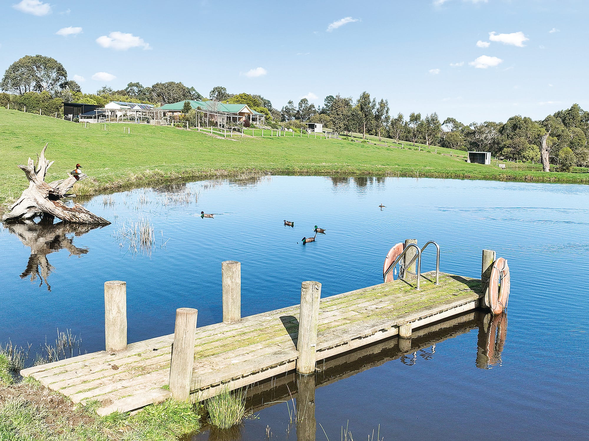 Exquisite home with everything