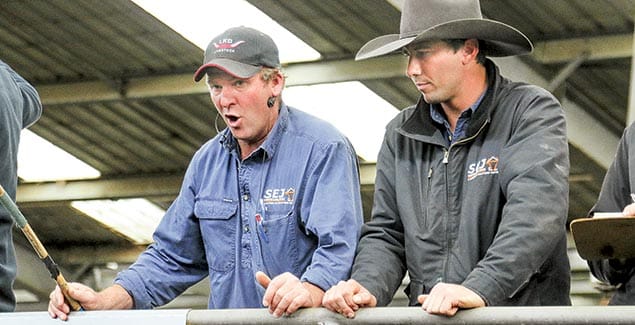 Busy times at Koonwarra