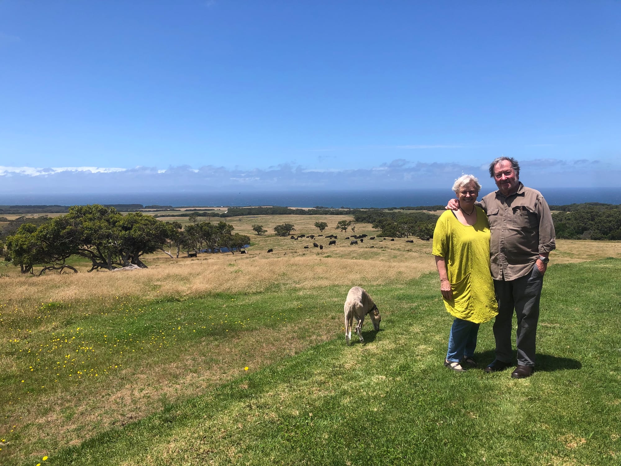 Managing deer across Gippsland