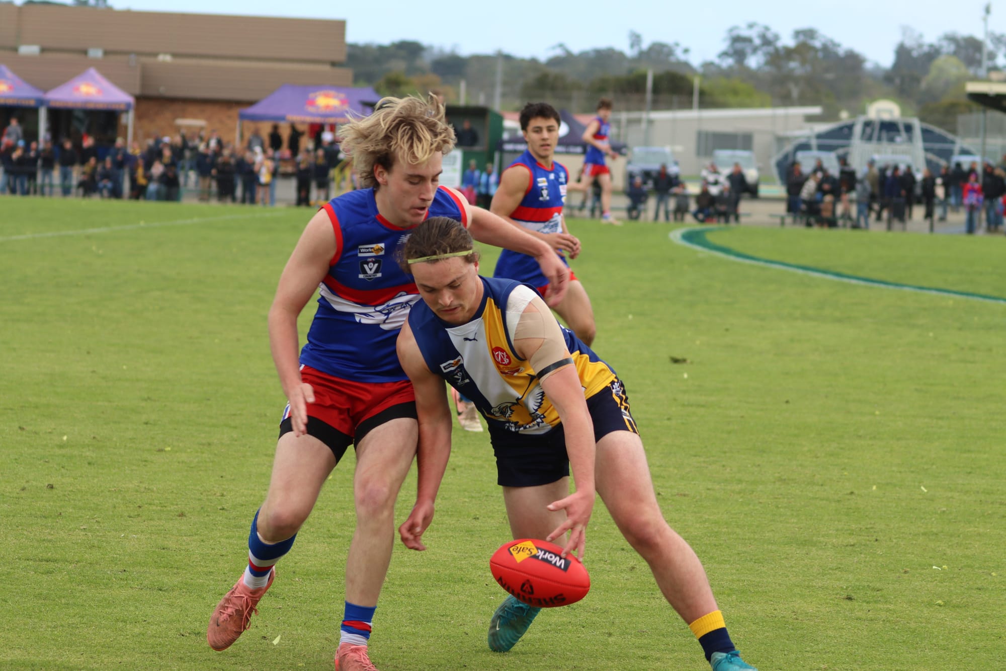 Phillip Island takes charge for back-to-back triumph