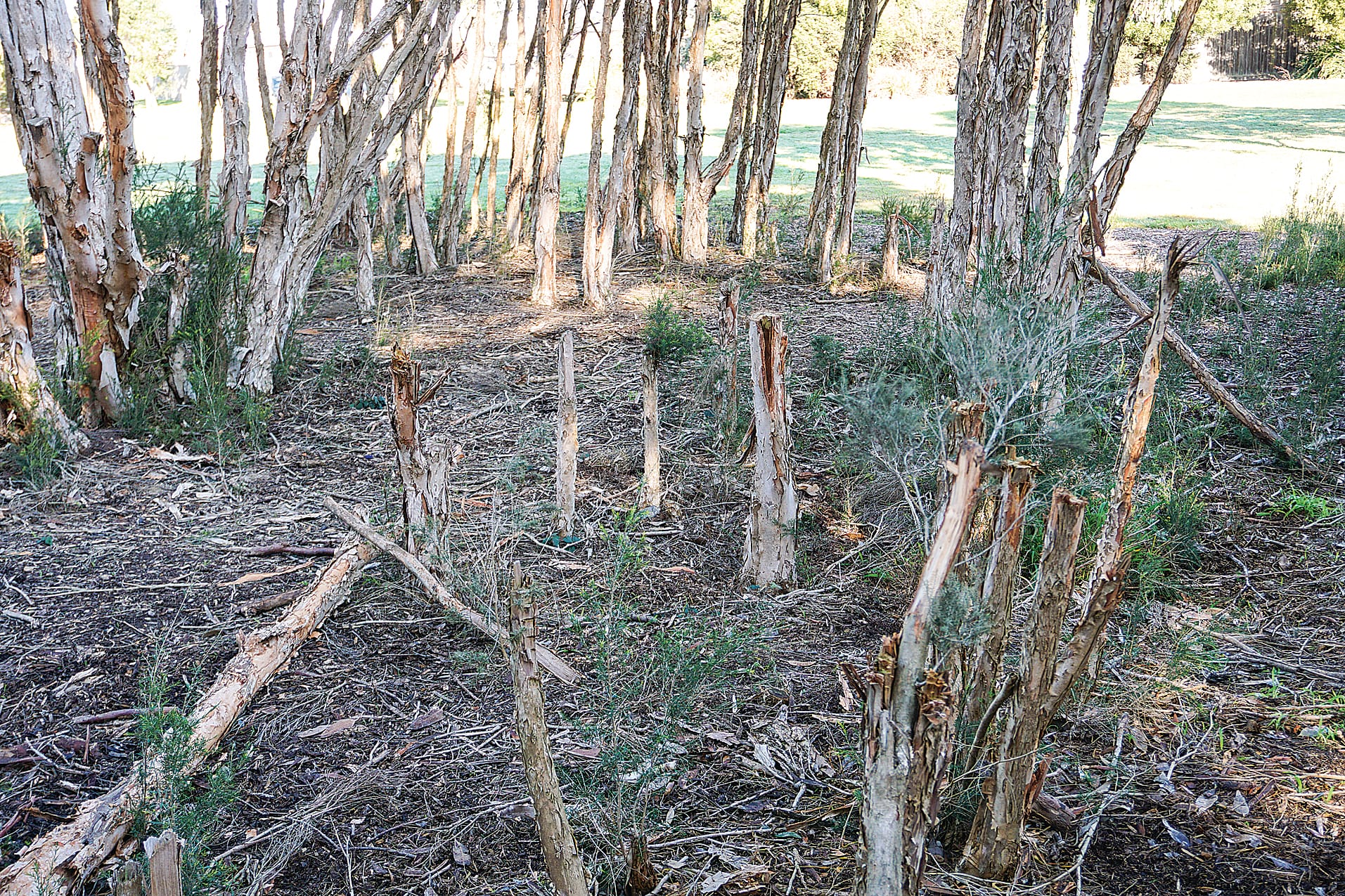 Locals tired of park destruction