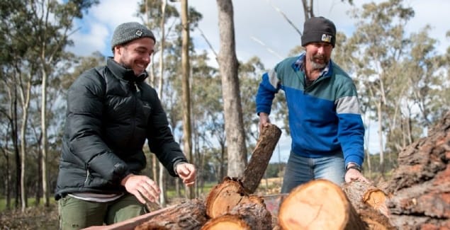 Autumn firewood collection period open