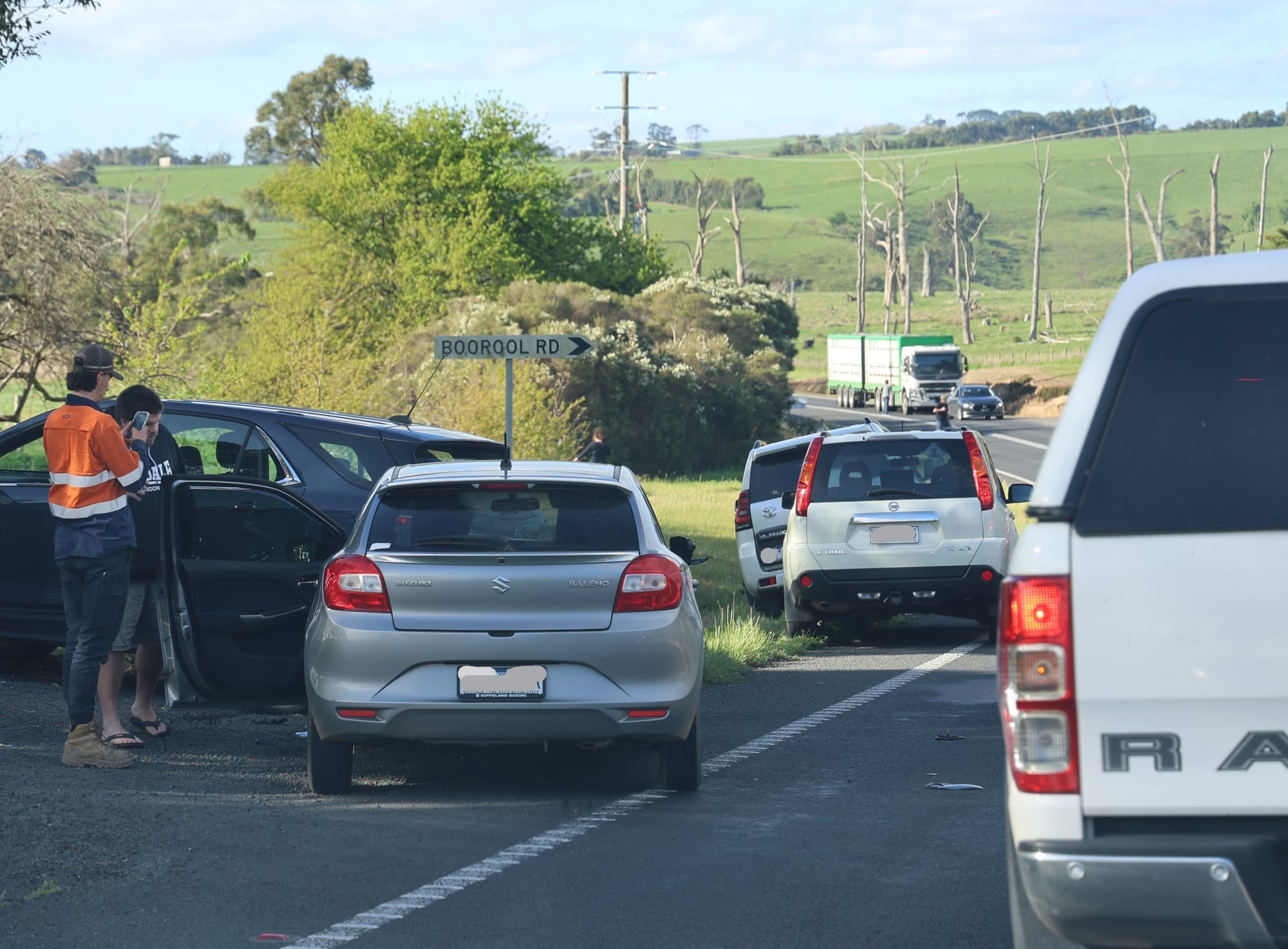 Cars bank up on Strzelecki Highway at the scene of an accident, reportedly caused by a stray steer.