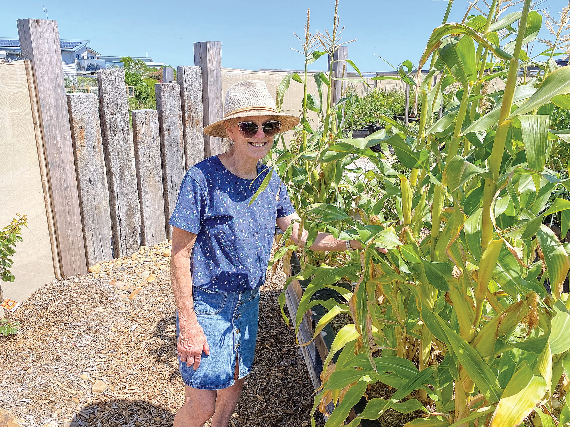 See how my garden grows