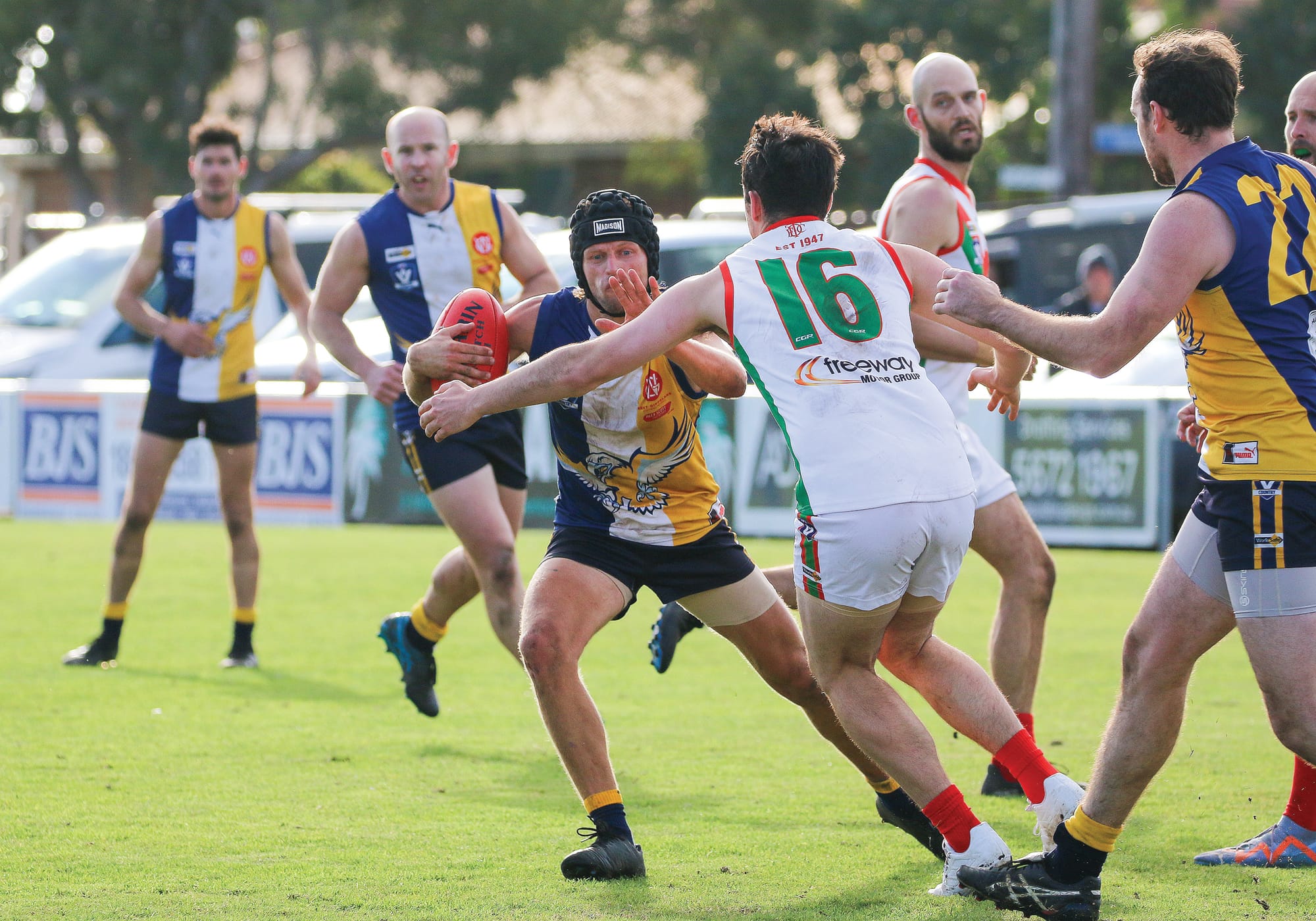 Sea Eagles make a statement at home