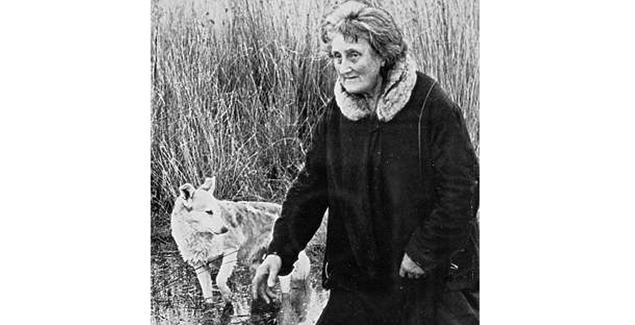 Lady of the Swamp theories died with Dave