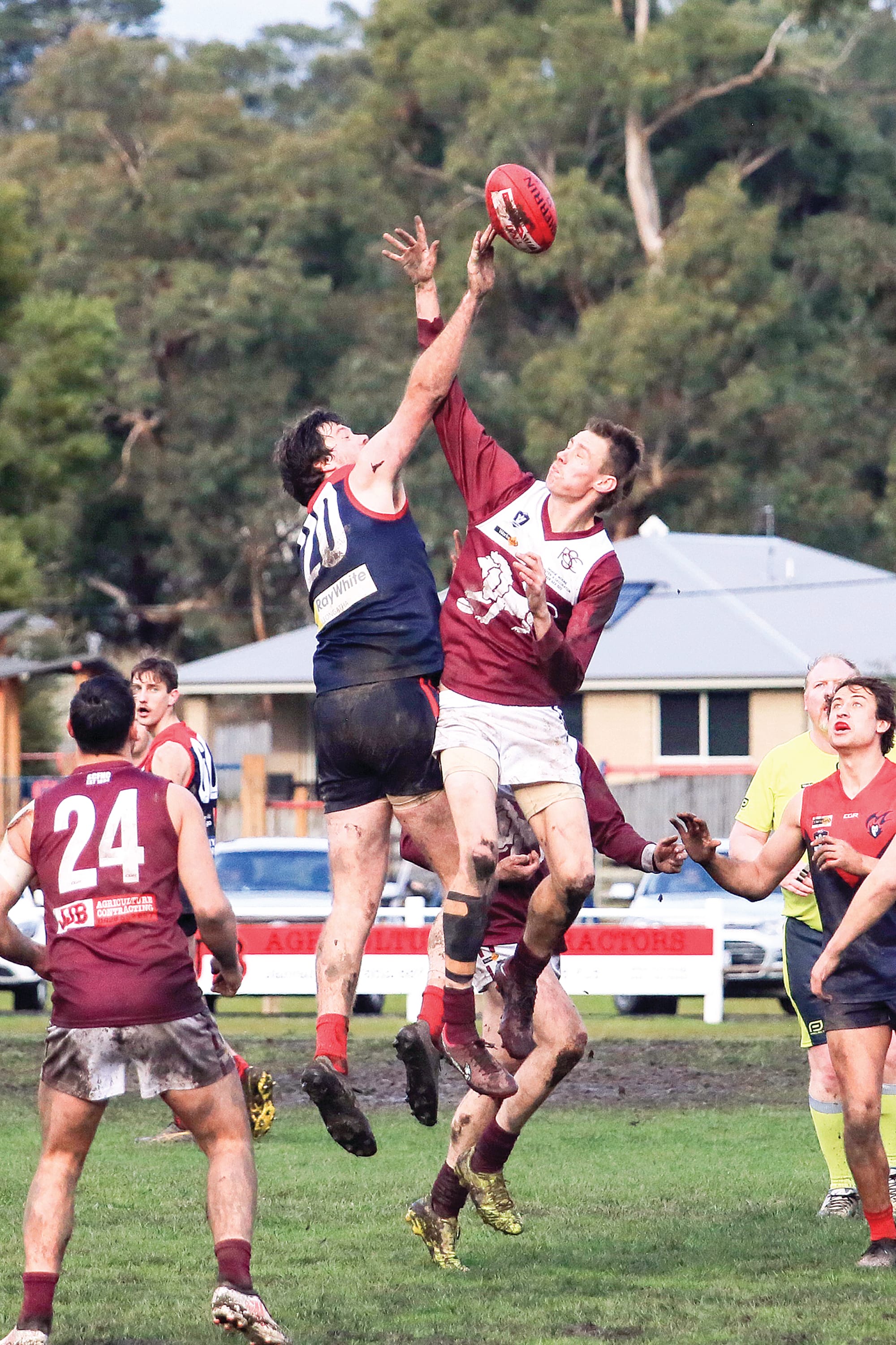 Final hurrah for Demons and Lions