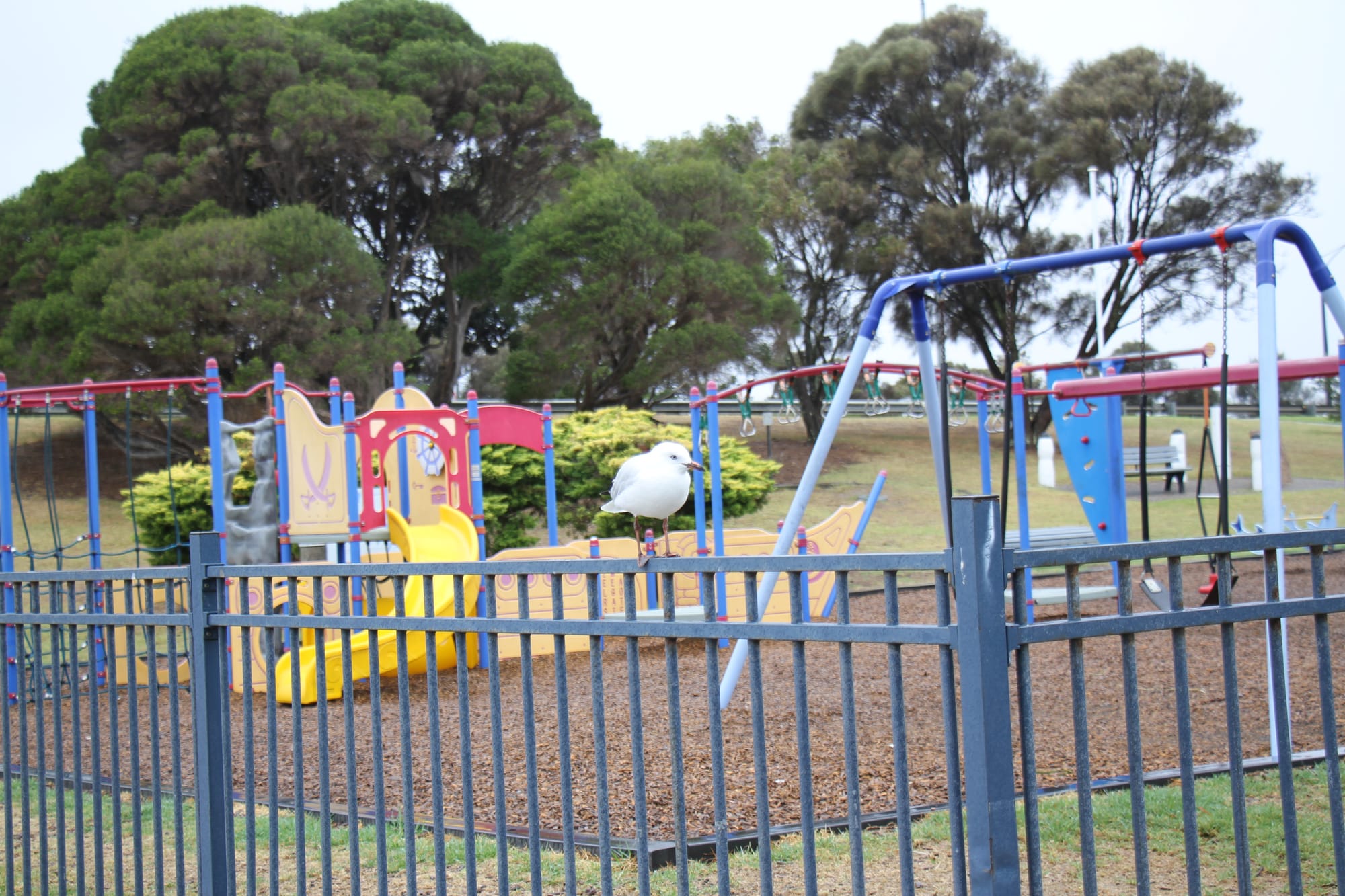 Calls for San Remo foreshore reserve to be returned to community management