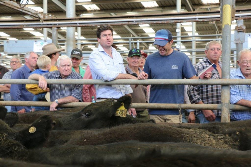 The buyers had it all their own way at the store sale at Leongatha on Friday, March 24, with South Gippsland fatteners taking the opportunity to buy some cheap, well-presented cattle to turn out again.