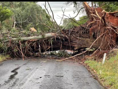 Mirboo North residents urged to save water