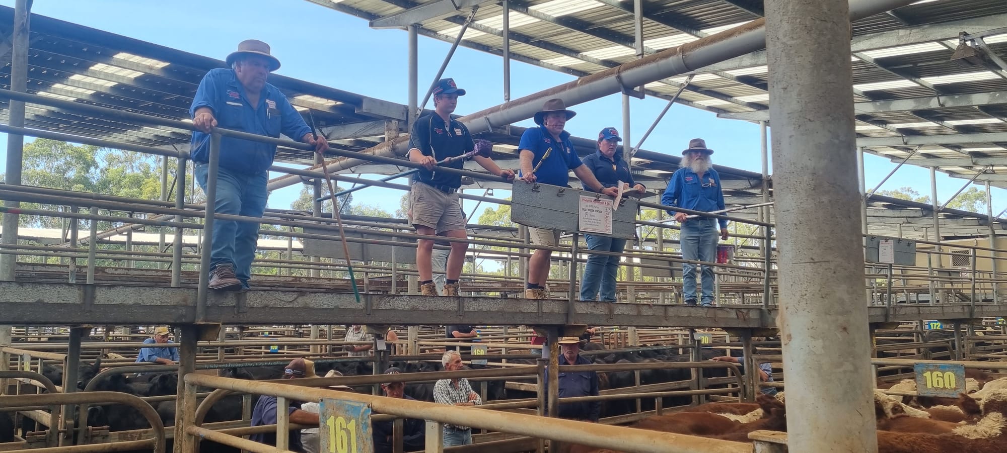David Phelan, Simon Henderson and staff sold a strong line-up of Yarram Breeders Cattle at the store sale at Koonwarra last Friday.