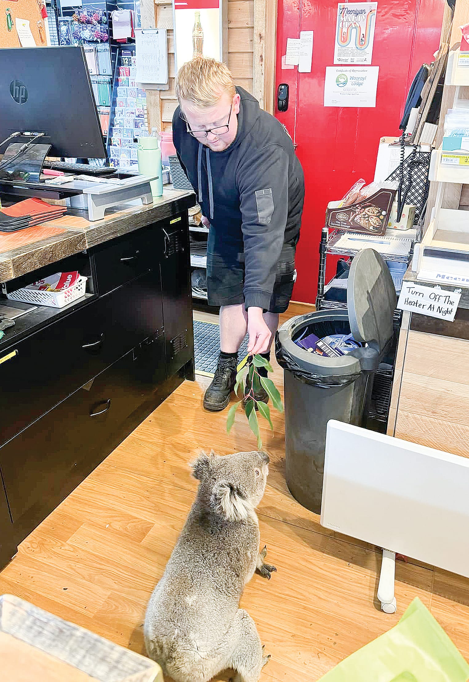 Contemporary Blinky Bill browses Meeniyan IGA