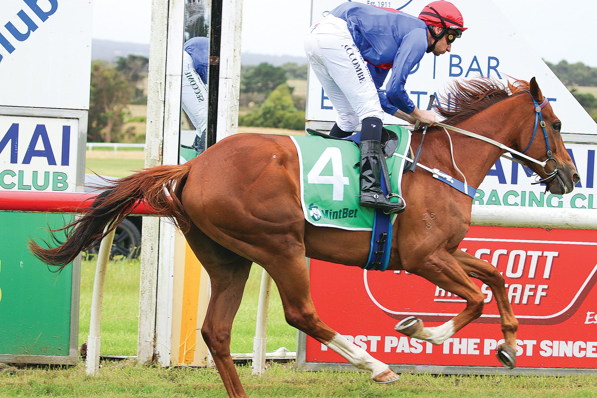 Mannerist won by a country mile against Yankee Banner and Bonza Boots. ob17_0124