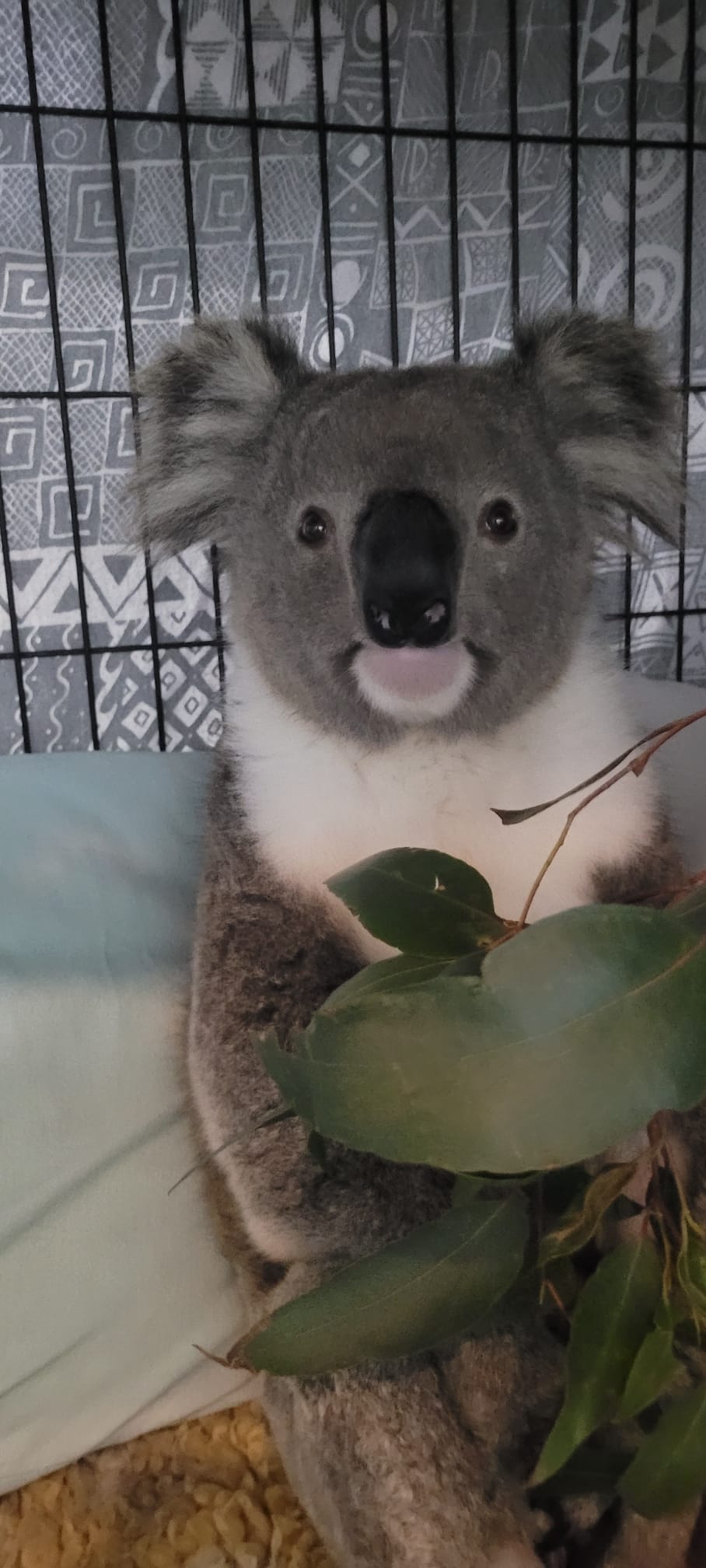 People of Post grants program as charities face cost-of-living crisis