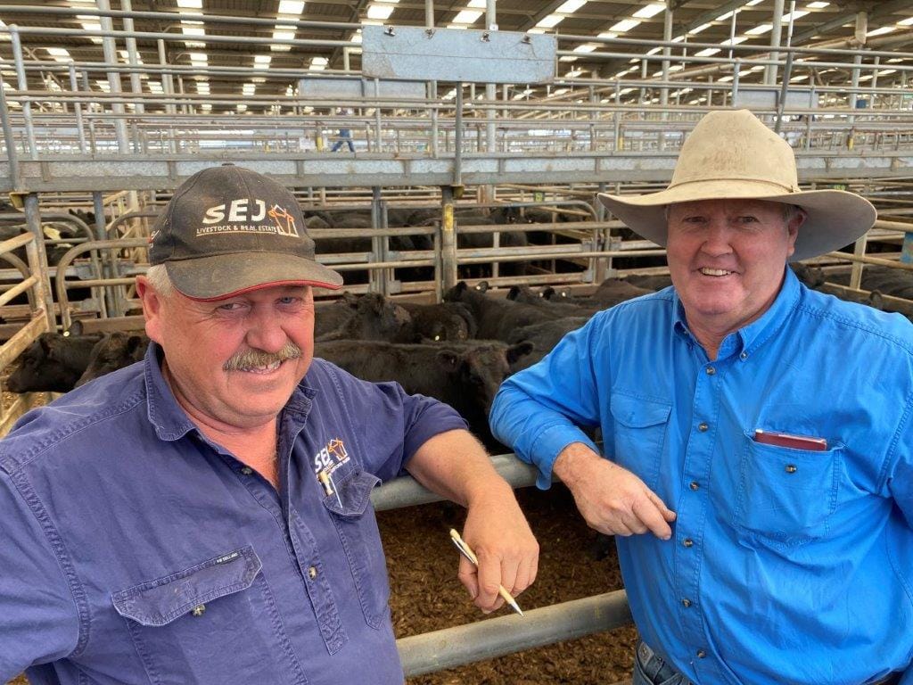Beef producer Peter Boddy chats with SEJ’s Paul Phillips after the sale of his autumn draft of store cattle, at significantly reduced prices on last year.