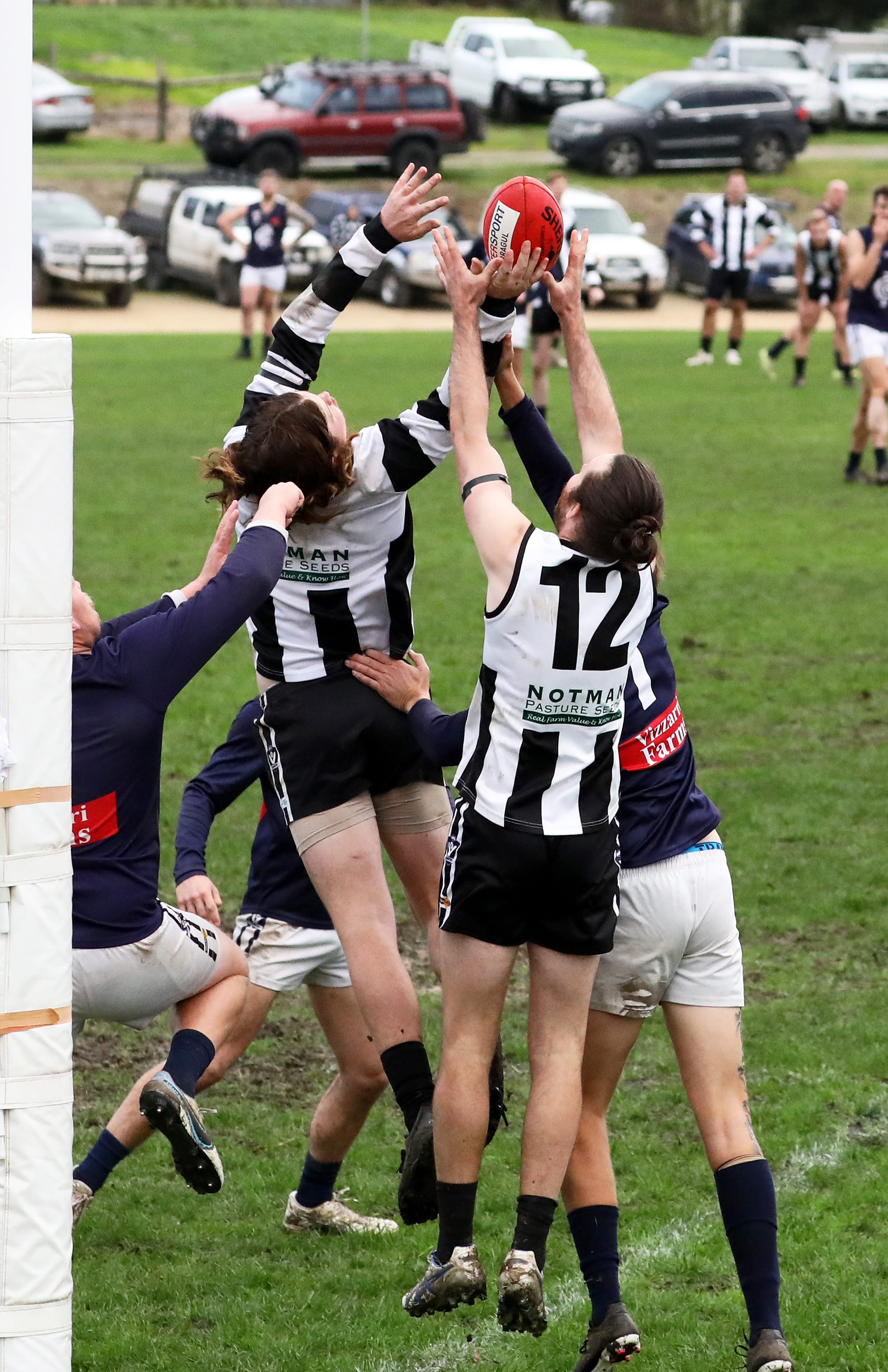 Magpies seal the deal against Catani